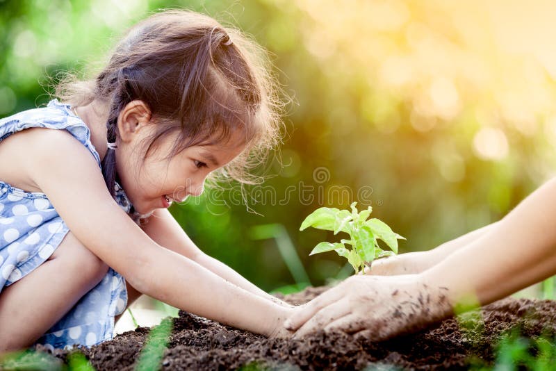 Asian little girl and parent planting young tree on black soil