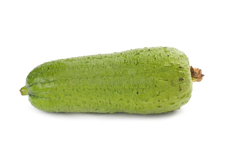 Asianloofah, Popular Vegetable in China Stock Photo Image of
