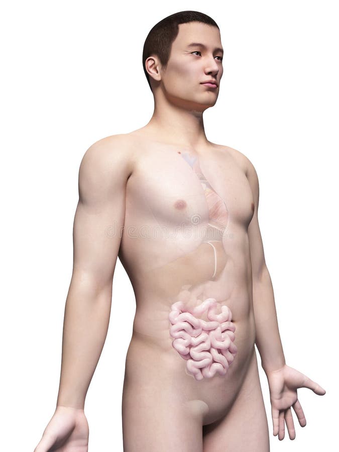 Asian male guy vector illustration