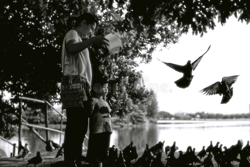 Mother and son feeding pigeons in a park royalty free stock photo