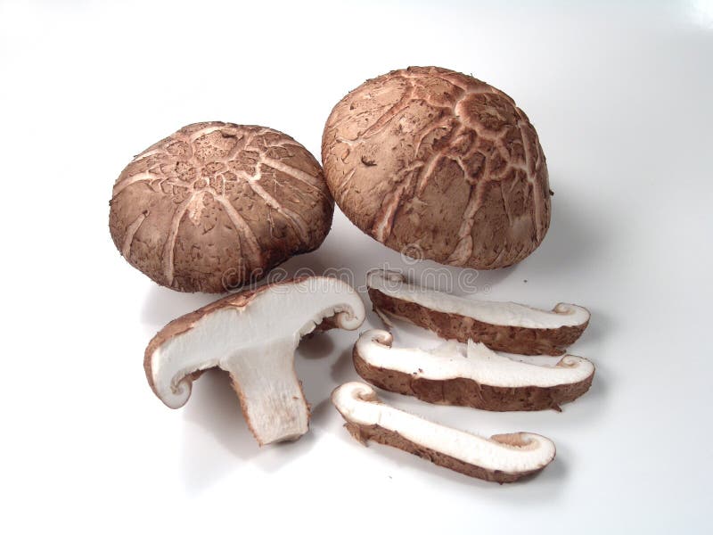 Asian Mushroom stock image. Image of chinese, diet, vegetable 2329915