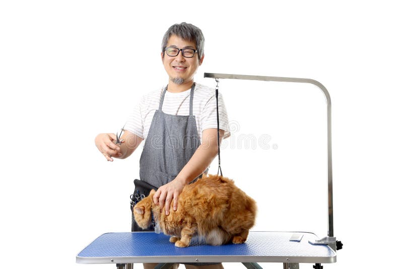 Asian Groomer Stock Photos Free & RoyaltyFree Stock Photos from