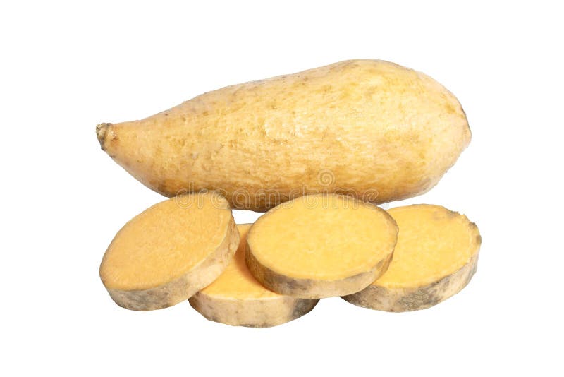 Asian raw sweet potato stock photo. Image of asian, ingredient - 256139478