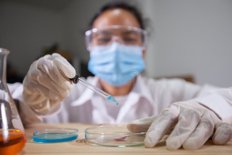 Scientist Research and Analysis Chemical Test in a Laboratory Stock