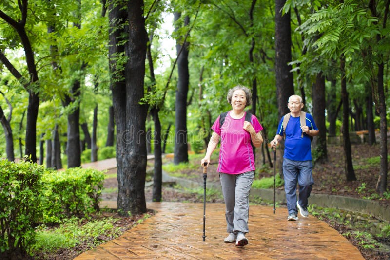 senior couple hiking on the forest park stock images senior couple hiking on the forest park stock images