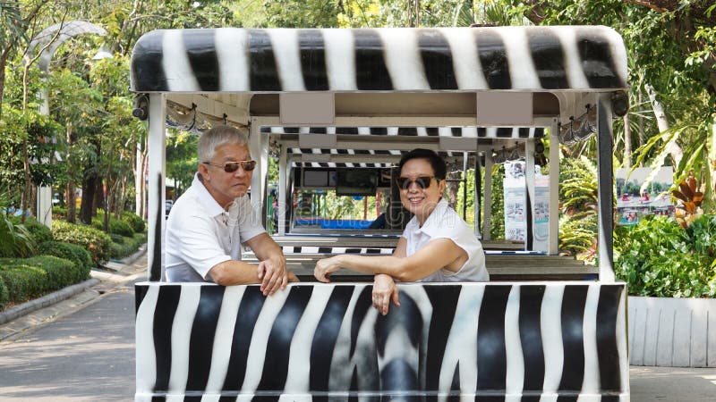 Asian senior couple riding on safari Zebra Car at zoo trail royalty free stock photography Asian senior couple riding on safari Zebra Car at zoo trail royalty free stock photography
