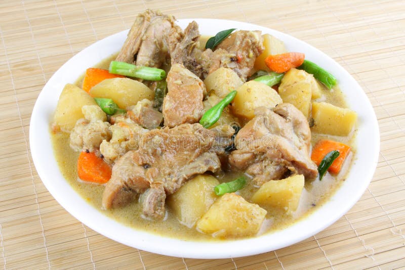 Asian style chicken stew stock image. Image of pork, beans 40097743