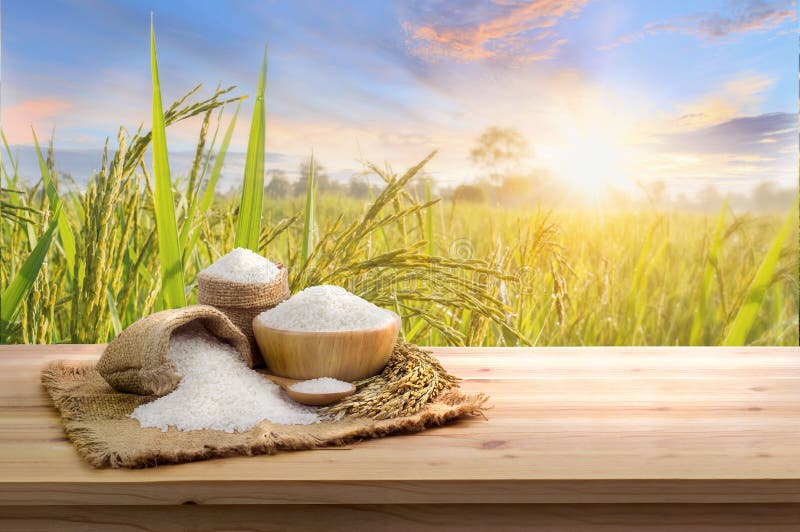 Asian Uncooked White Rice with the Sunset Rice Field Background and Burlap  Sack on Wooden Table Stock Photo - Image of design, cooking: 201492516