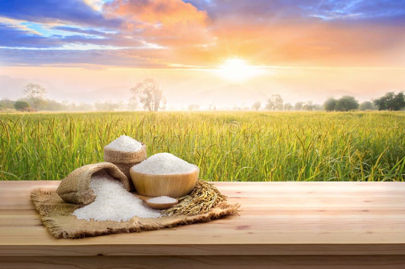 Asian Uncooked White Rice with the Sunset Rice Field Background and Burlap  Sack on Wooden Table Stock Image - Image of natural, health: 204808181
