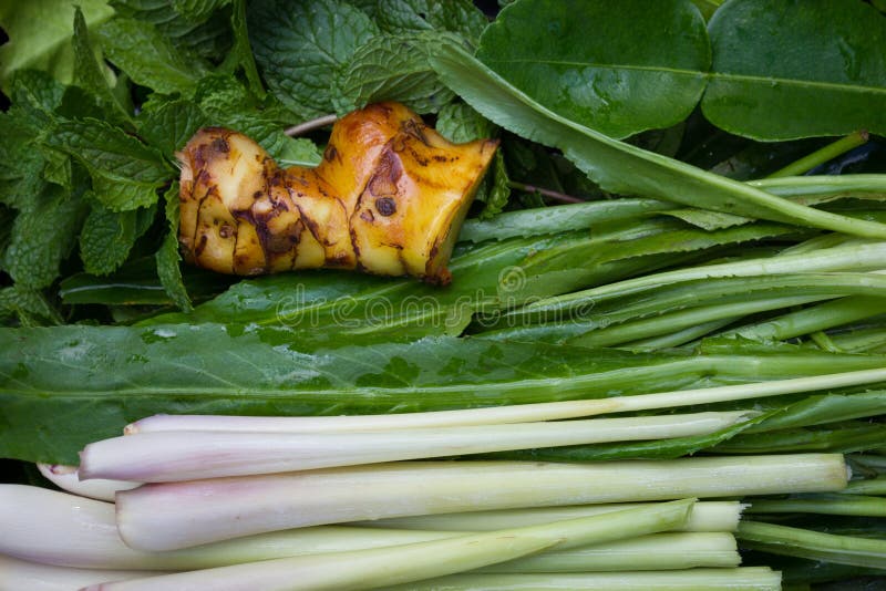 Asian vegetable stock photo. Image of asian, garden, bright 40607726