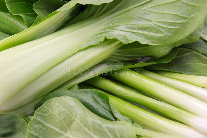 Asian vegetables stock image. Image of food, onions, leafy 3042947
