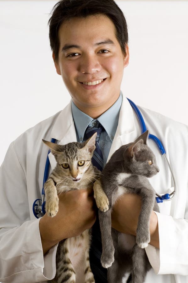 Young Asian male Veterinarian holding 2 kittens. Young Asian male Veterinarian holding 2 kittens