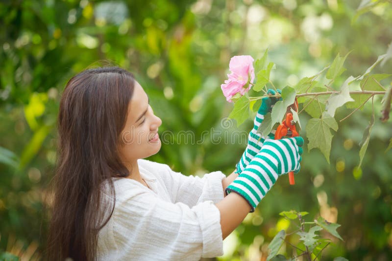 Advanced Search Asian Woman Holding