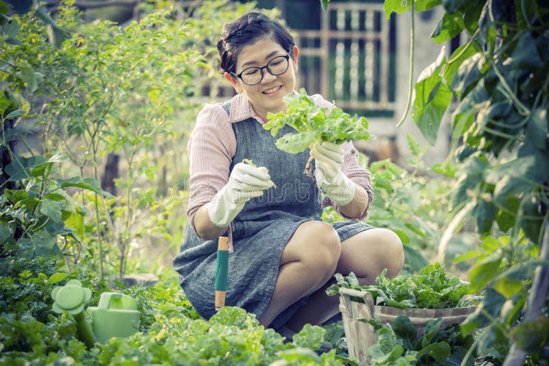 Asian Woman Toothy Smiling Face in Home Gardening Working Stock Image ...