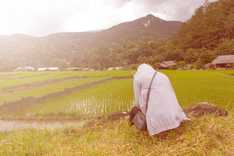 Asian Women Lonely at Green Terraced Rice Field, Mae Klang Luang Chiang ... picture