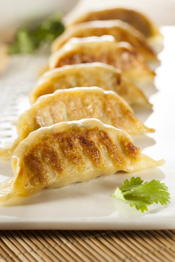 Asiatico casalingo Vegeterian Potstickers immagine stock Asiatico casalingo Vegeterian Potstickers immagine stock