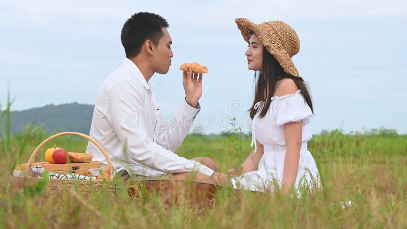 Asiatische junge Paare Picknick auf grünem Wiese-Feld Der Mensch gibt Apfelwein an die Frau, zwischen den flirtenden Flitterwoche