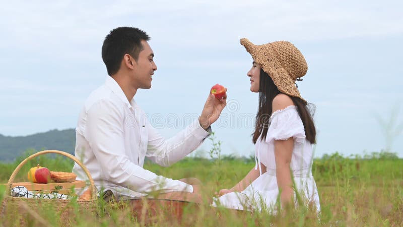 Asiatische junge Paare Picknick auf grünem Wiese-Feld Der Mensch gibt Apfelwein an die Frau, zwischen den flirtenden Flitterwoche