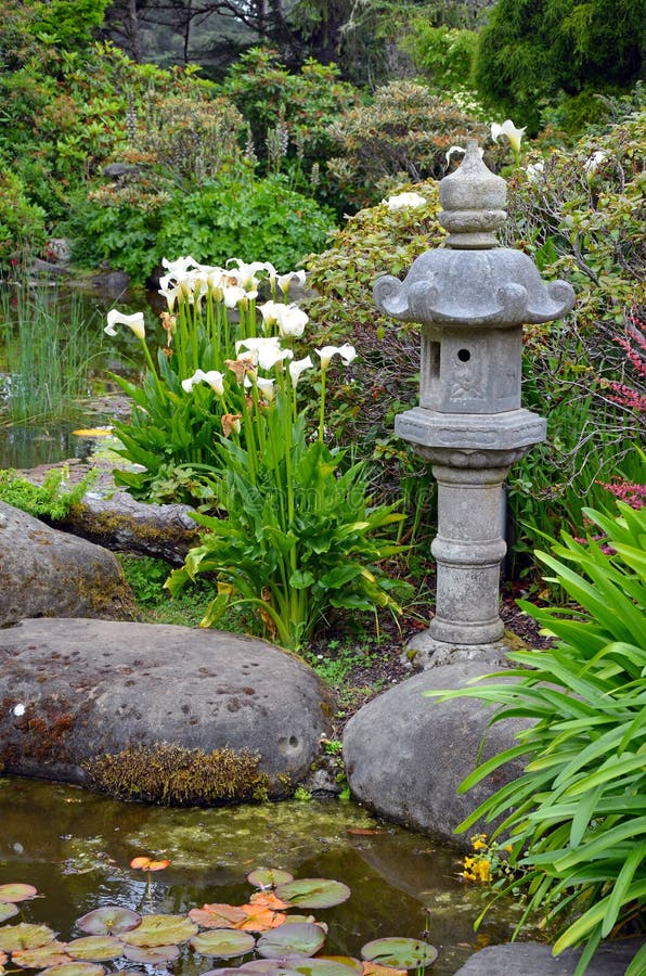 Asiatischer Garten Mit Teich Stockbild Bild von garten