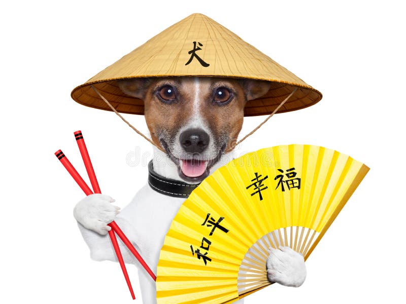 Asiatischer Hund lizenzfreies stockbild Asiatischer Hund lizenzfreies stockbild