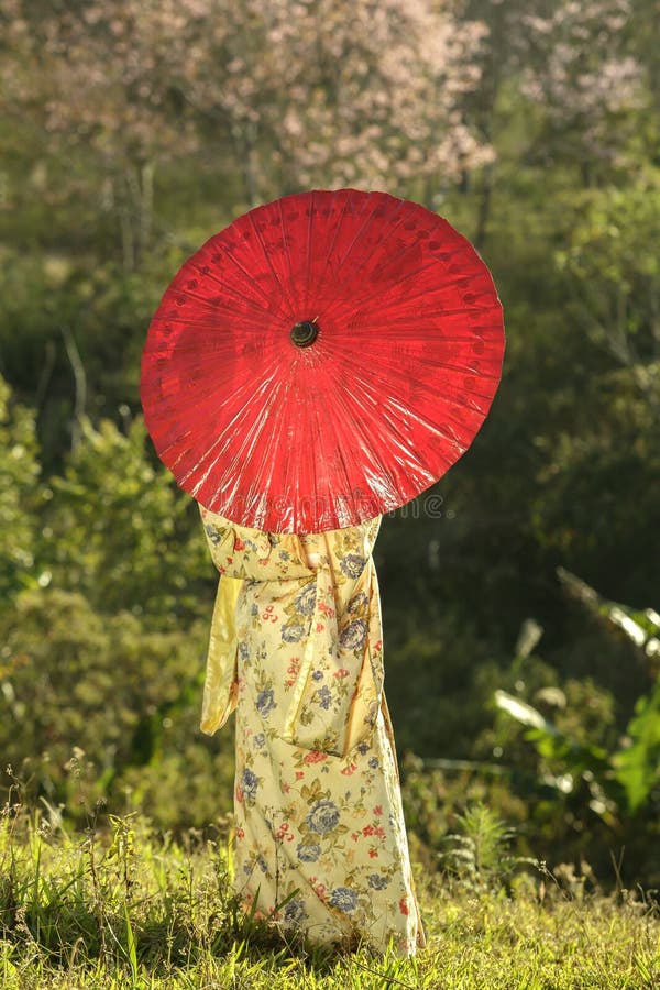 Asiatiska kvinnor som står bak att bära den traditionella japanska kimonot arkivbild Asiatiska kvinnor som står bak att bära den traditionella japanska kimonot arkivbild
