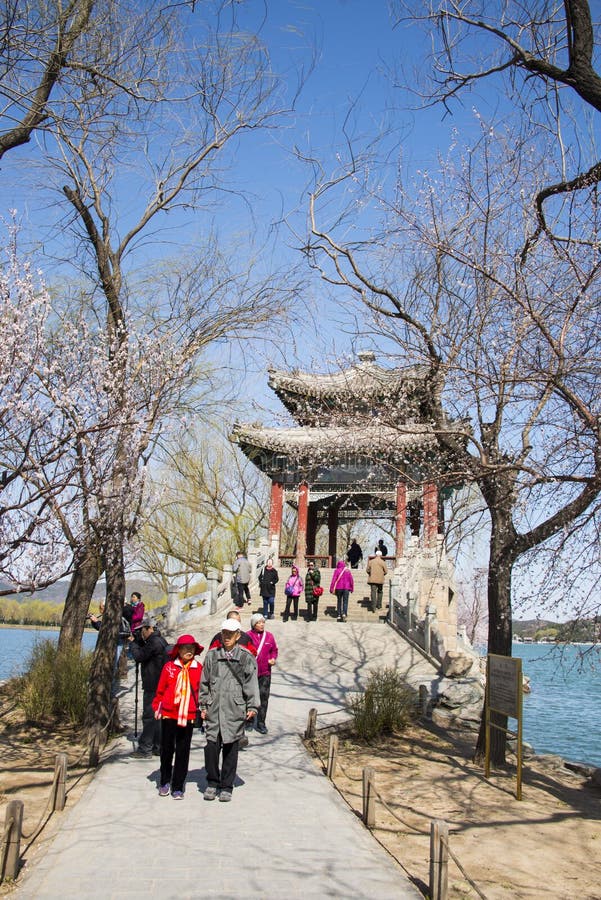 Asien Kina, Peking, sommarslotten, kunglig personträdgård, vårlandskap arkivfoton