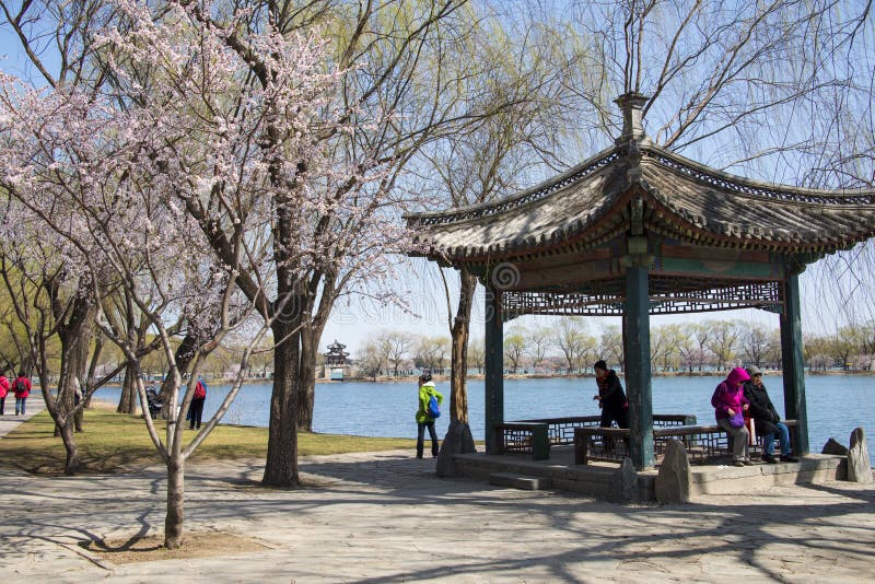 Asien Kina, Peking, sommarslotten, kunglig personträdgård, vårlandskap, träpaviljong fotografering för bildbyråer