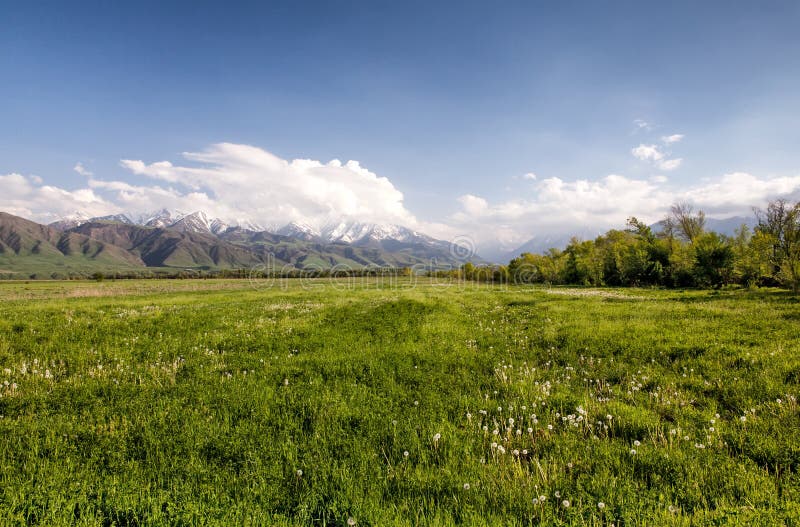 Asiatische Landschaft. Kirgisistan, Baitik stockfotografie