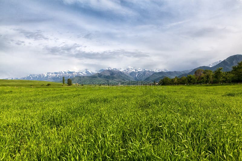 Asiatische Landschaft. Kirgisistan, Baitik stockbilder