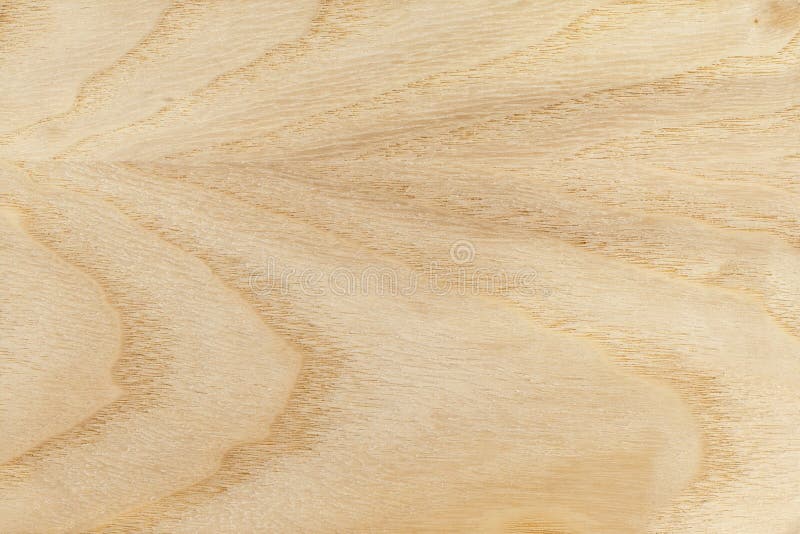 askatexturträ askatexturträ