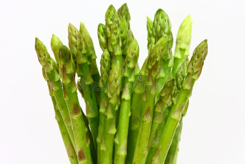 Asparagus. Isolated on white background royalty free stock image