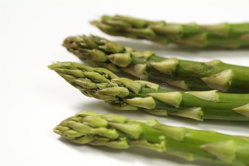 Download Asparagus stock photo. Image of green, orchard, asparagus - 455488