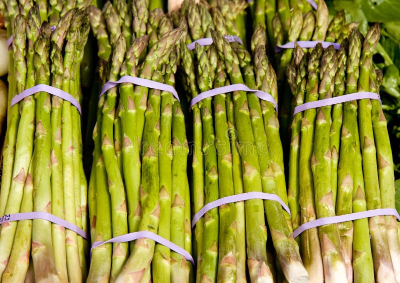 Asparagus Bundles stock photo. Image of nutrition, stems 7482568