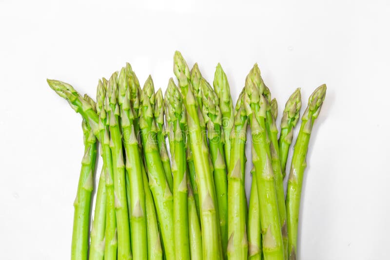 Sea Asparagus with Vegetable Stock Photo Image of asparagus, seafood