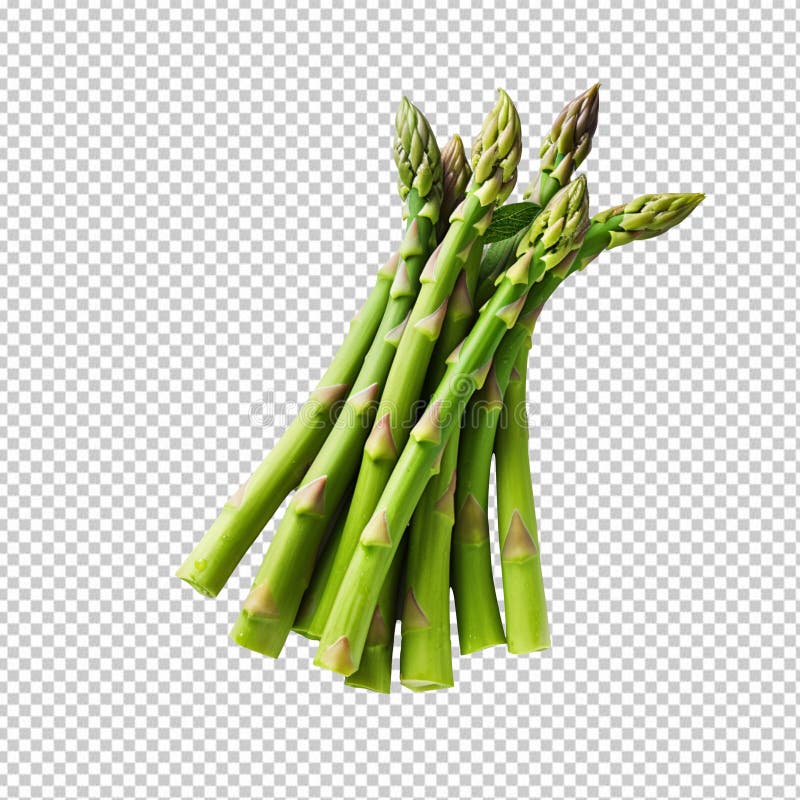 Asparagus изолирован на прозрачном фоне иллюстрация вектора