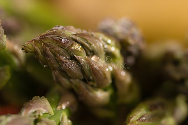 Aspargo verde imagens de stock