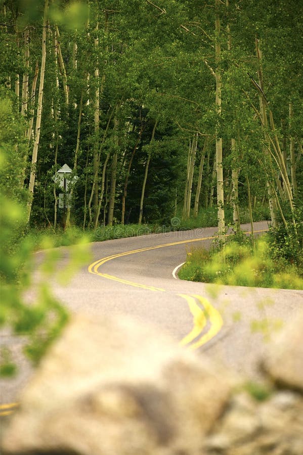 Aspen Colorado Road stock image. Image of green, natural 26045861