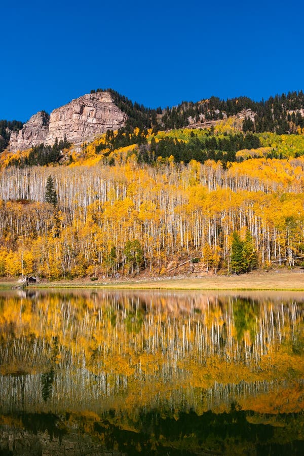 Aspen Trees with Fall Colors Reflecting in a Still Mountain Lake Stock ...