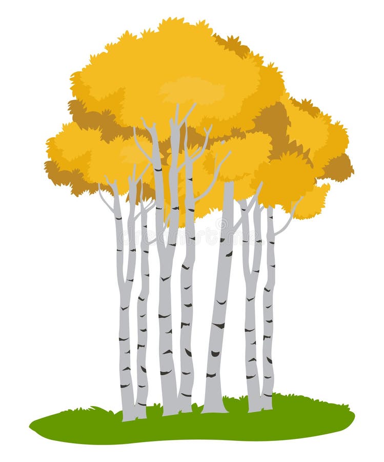 Aspen Tree Svg