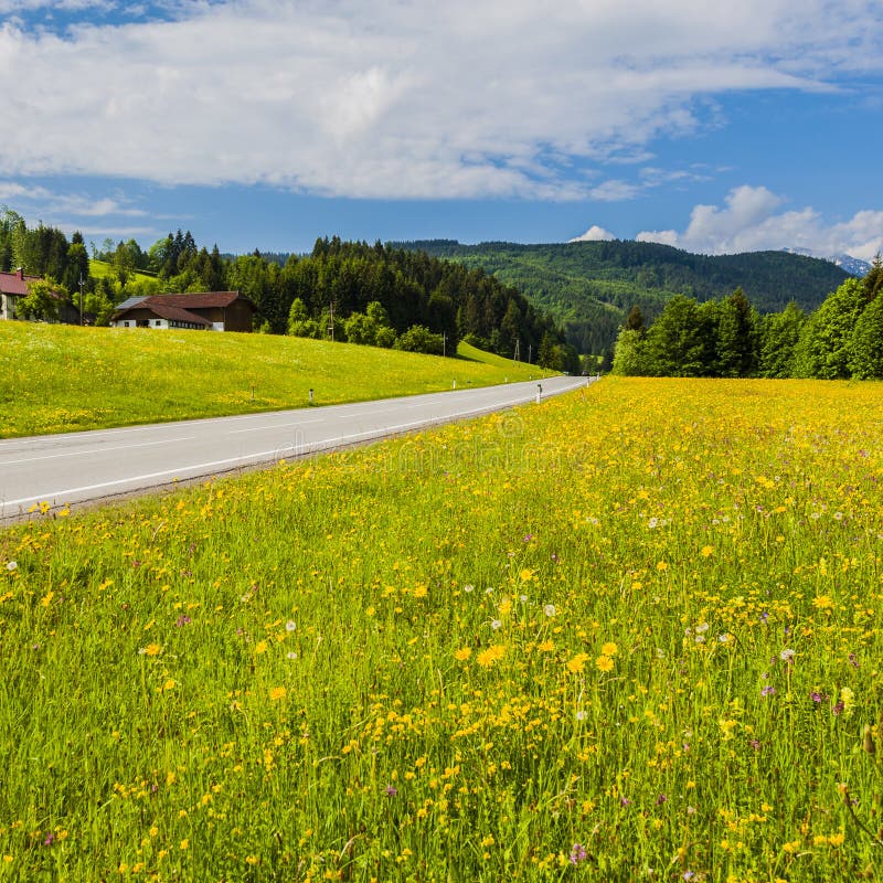 Asphalt road in Austria stock photo. Image of nature 122961234