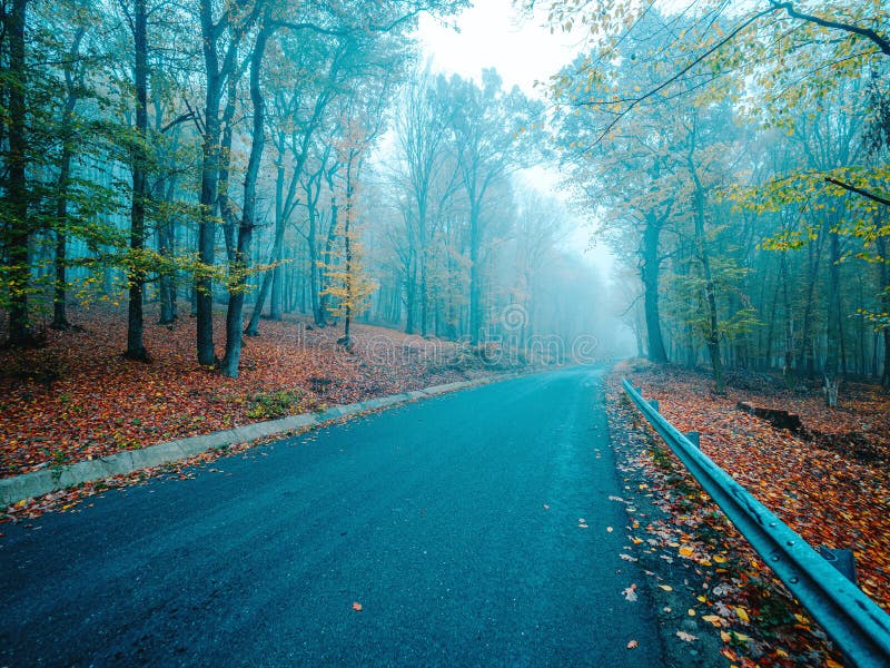 Asphalt road in beautiful mystical forest with blue fog in autumn royalty free stock photo Asphalt road in beautiful mystical forest with blue fog in autumn royalty free stock photo