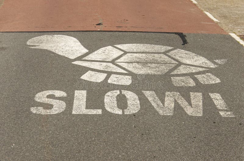 Slow turtle on the road royalty free stock photography