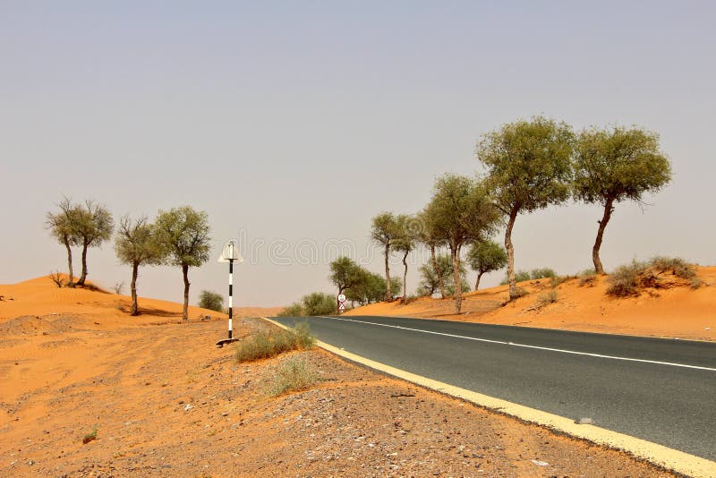 Asphalt road with yellow lines running through desert with trees royalty free stock photos Asphalt road with yellow lines running through desert with trees royalty free stock photos