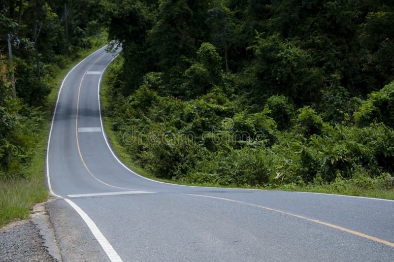 Asphalt s road in forest