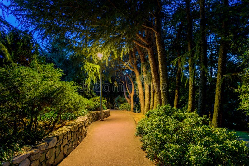 Asphalted footpath in a night park, lit by a street lamp