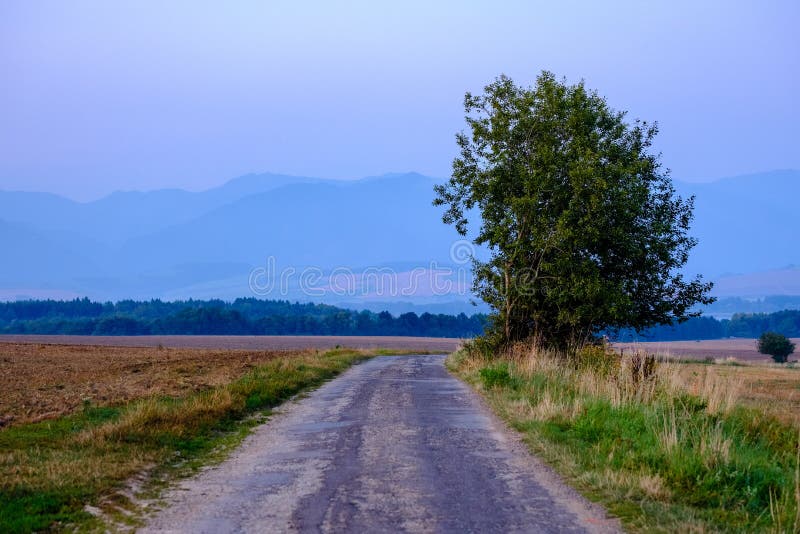 Asfaltová cesta vedúca do hôr v lese