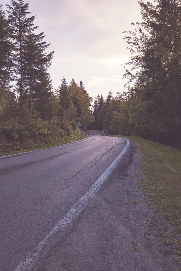 Asphalted road leading up to the mountains in forest - vintage r