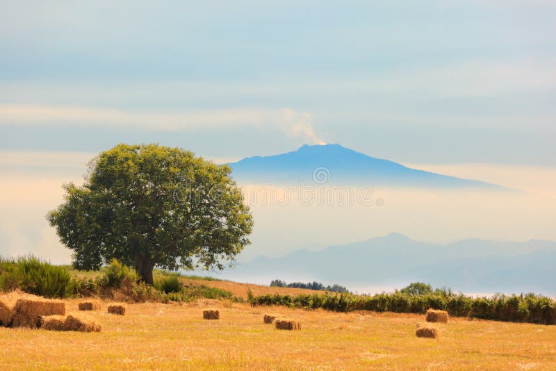 aspromonte Etna śródpolny widok obrazy stock aspromonte Etna śródpolny widok obrazy stock