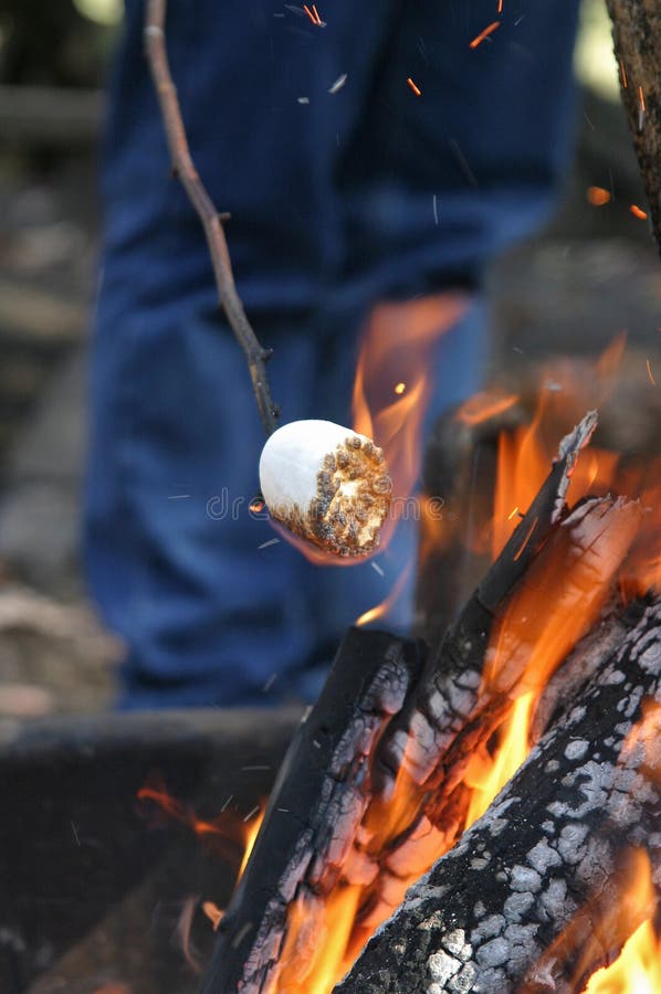 Marshmallow Assado fotos de stock royalty free