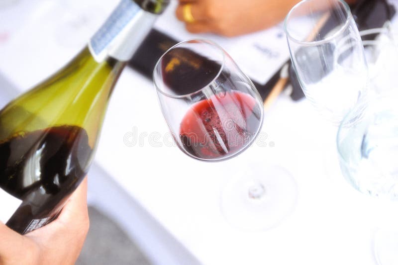 Assaggiando il vino bianco versi dentro un vetro, versante il vino bianco da vino immagine stock Assaggiando il vino bianco versi dentro un vetro, versante il vino bianco da vino immagine stock